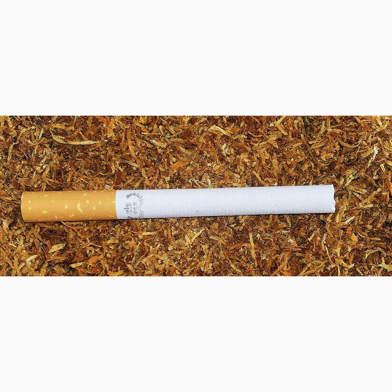 Фото 3. Табак от 1 кг Вирджиния голд, Берли, Тернопольский
