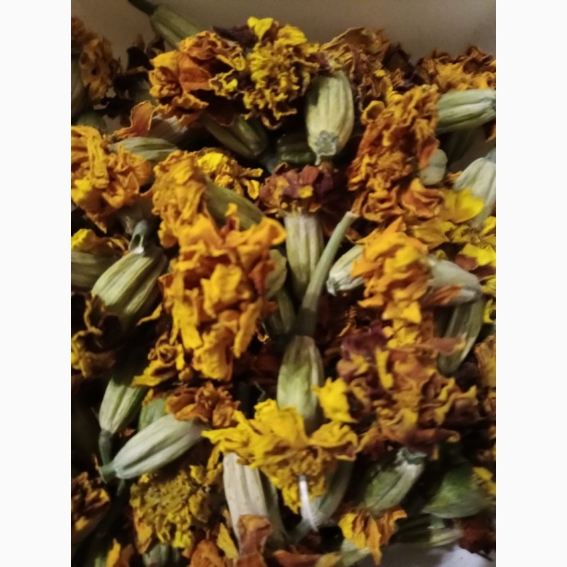 Фото 3. Продам квіти чорнобривців сухі