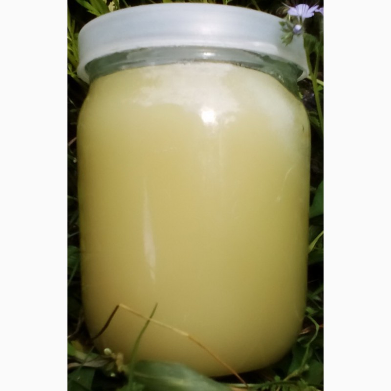 Фото 2. Продам натуральный мёд и пчелопродукцию с пасеки. Без антибиотиков
