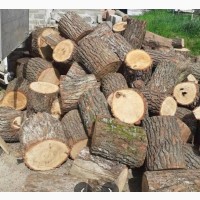 Дубові дрова в Луцьку ціни та купити