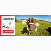 Сапокорм - мінеральна добавка для великої рогатої худоби