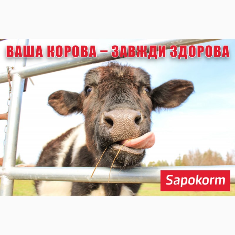 Фото 6. Сапокорм - мінеральна добавка для великої рогатої худоби