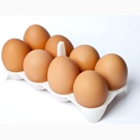 Куриные яйца (сорт С1) на экспорт