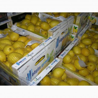 Продам лимони турецька в хорошій якості без хвороб