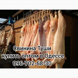 Туши свинины цена