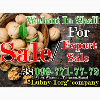 Walnut in shell For Sale/ Продам Грецький Горіх 2021!!! Договорна Ціна! Будь який обсяг