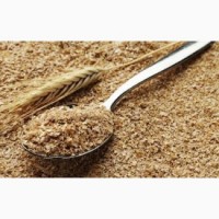Висівки пшеничні насипом / wheat bran export