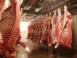 Фото 3. Мясо свинины Одесса купить