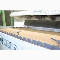 Доробка насіння, послуги насінневого заводу