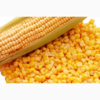 Куплю кукурузу от 1 тонны