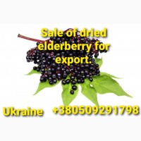 Наше предприятие, в Украине, продает сушеную бузину