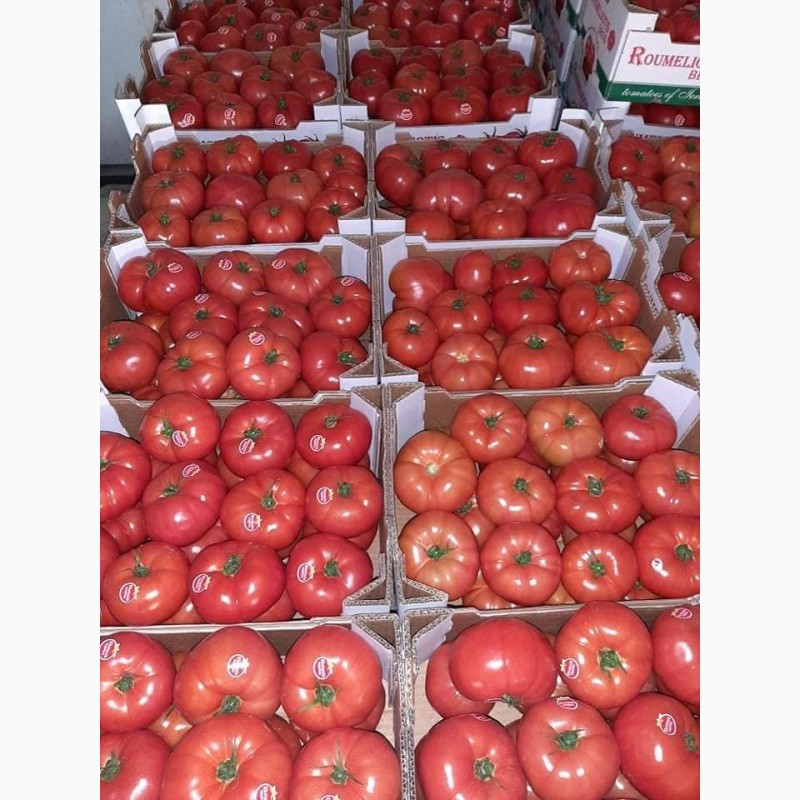 Фото 5. Продам овощи, цитрус и ягоды от поставщика с Греции