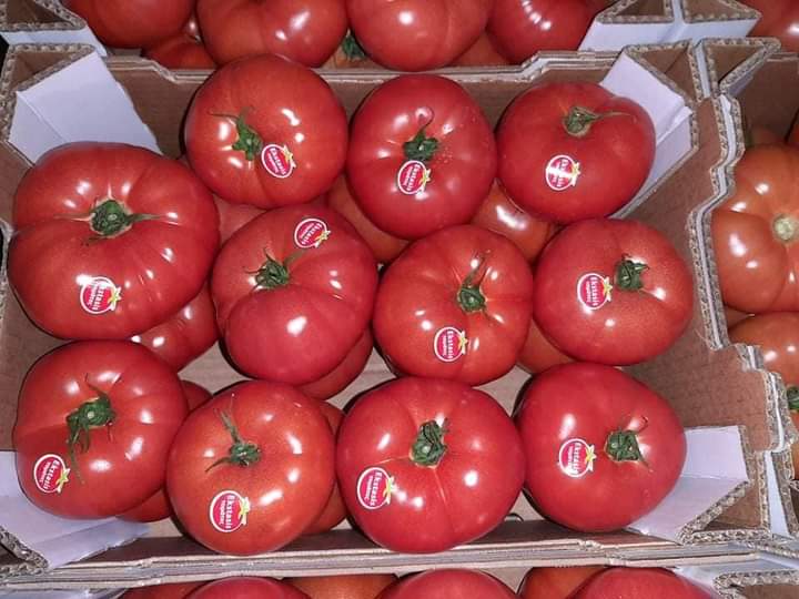 Фото 9. Продам овощи, цитрус и ягоды от поставщика с Греции