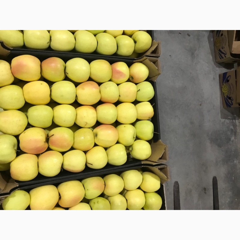 Фото 4. Продам якісне яблоко, з холодильника, оброблені смарт фрешом
