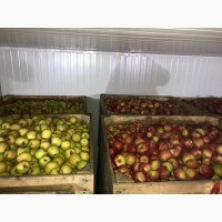 Продам якісне яблоко, з холодильника, оброблені смарт фрешом