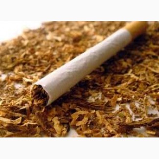 Фото 5. Табак/Тютюн - Вирджиния, Берли, Болгарский-гильзы!низкая цена
