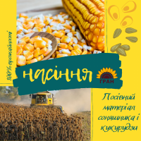 Насіння соняшника та (або) кукурудзи Української селекції