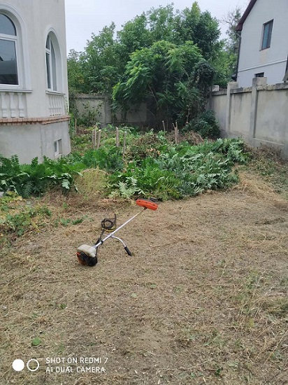 Фото 3. Добросовестно покосим траву, уборка участка, вспашка огорода