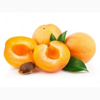 Продам Заморожені половинки абрикоса