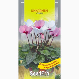 Комнатные цветы Цикламен персидский смесь многолетний 5 шт SeedEra