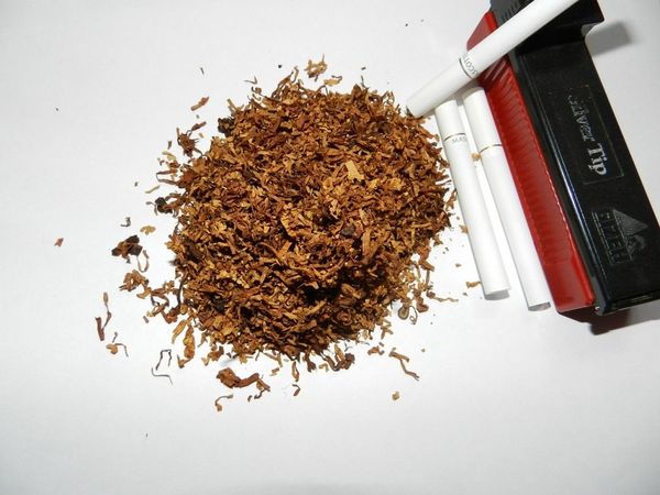 Фото 5. Курим настоящий табак и экономим свои деньги