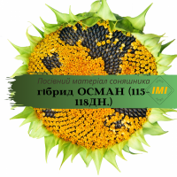 Насіння соняшника гібрид - Осман (clearfield) 115-118 днів