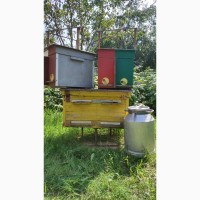 Продам 2 б/в вулики, 4 ящики для бджолиних відводків, бідон, ваги, 7 металевих підставок