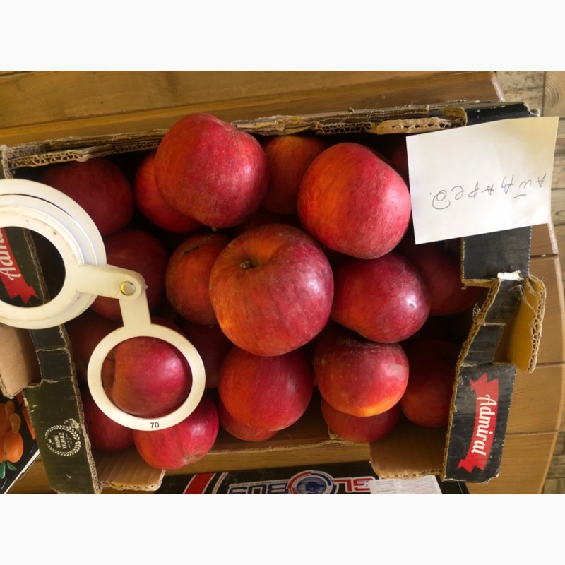 Фото 2. Яблука різних сортів, 2 сорту, для промпереробки, техничне