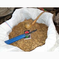 Тютюн Вірджінія самий домашній- самосад махорка свіжа без мусораі пилі
