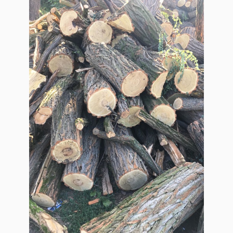 Фото 10. Продам в больших количествах дрова твердых пород (дуб, ясень, акация), фруктовые дрова