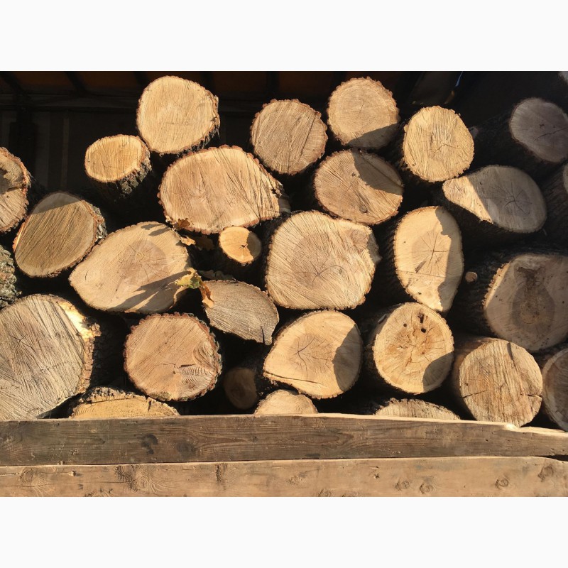 Фото 2. Продам в больших количествах дрова твердых пород (дуб, ясень, акация), фруктовые дрова