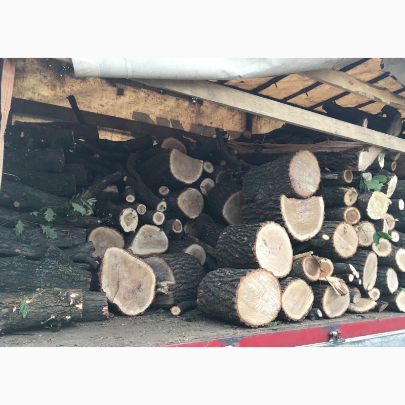 Фото 4. Продам в больших количествах дрова твердых пород (дуб, ясень, акация), фруктовые дрова