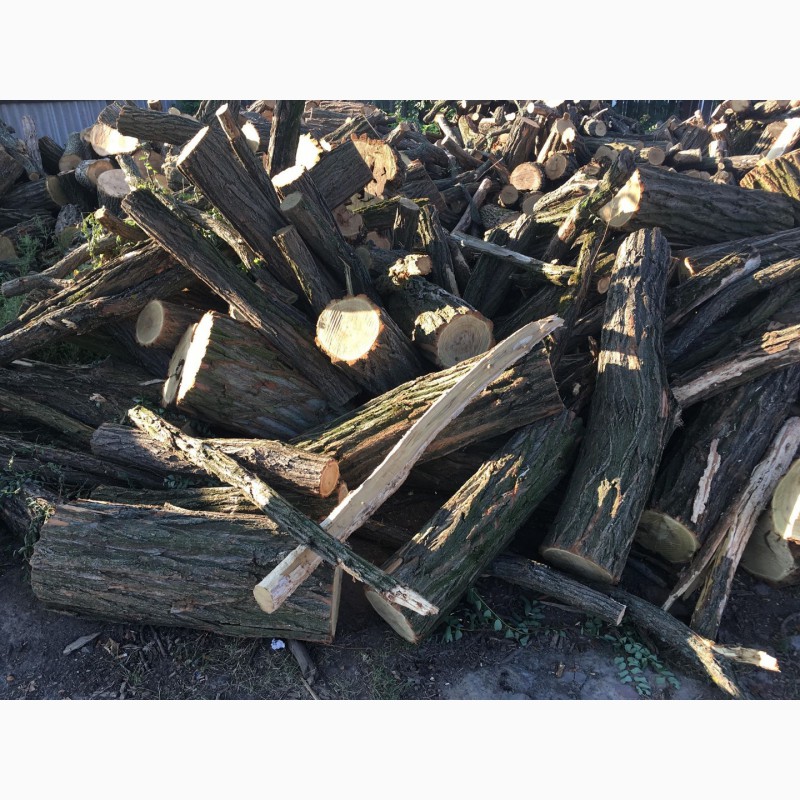 Фото 6. Продам в больших количествах дрова твердых пород (дуб, ясень, акация), фруктовые дрова