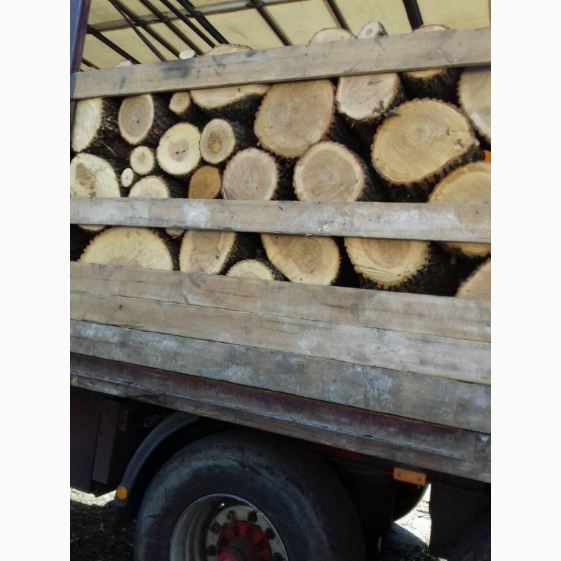 Фото 8. Продам в больших количествах дрова твердых пород (дуб, ясень, акация), фруктовые дрова
