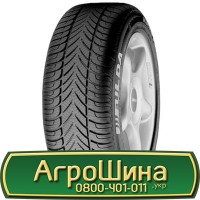 Шина 460/85 30, 460 85 30, 460 85r30, 460 85 r30 АГPOШИHA