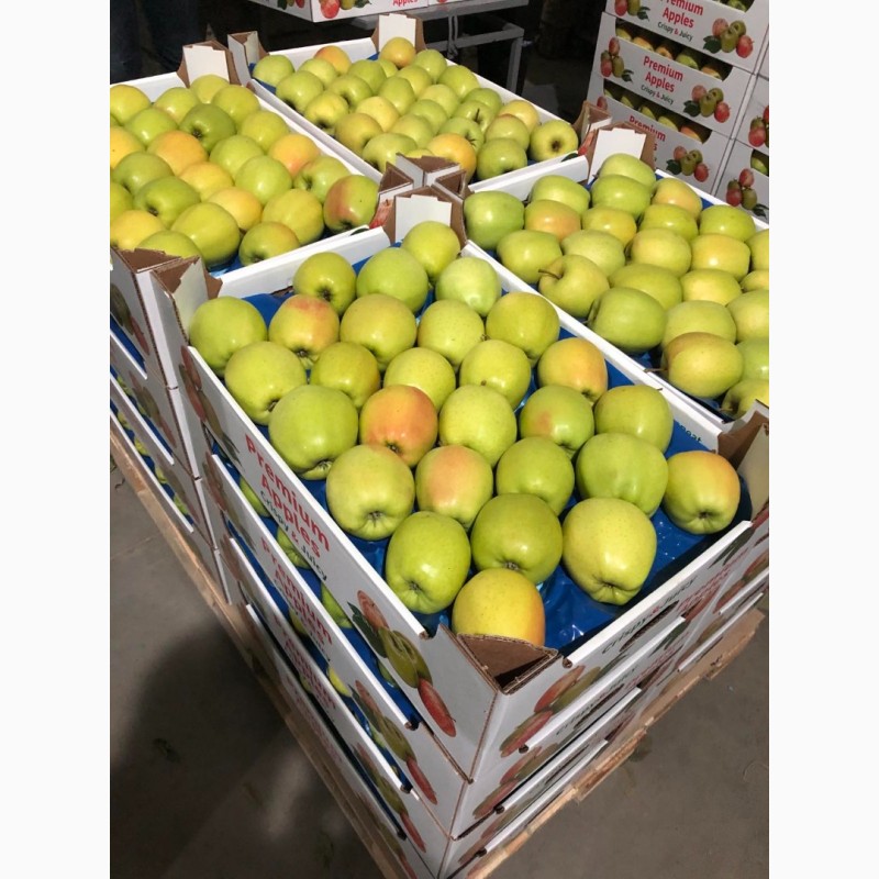 Фото 2. Продам яблука, експортної якості, є обєм, розміри 65-75, 75+, Вінницька обл.м.Немирів