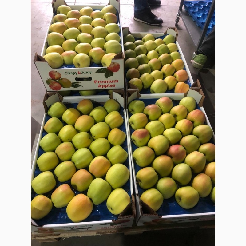 Фото 3. Продам яблука, експортної якості, є обєм, розміри 65-75, 75+, Вінницька обл.м.Немирів