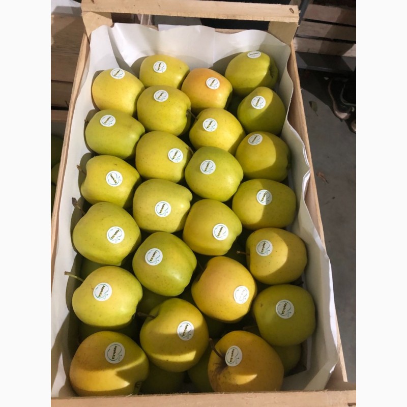 Фото 4. Продам яблука, експортної якості, є обєм, розміри 65-75, 75+, Вінницька обл.м.Немирів