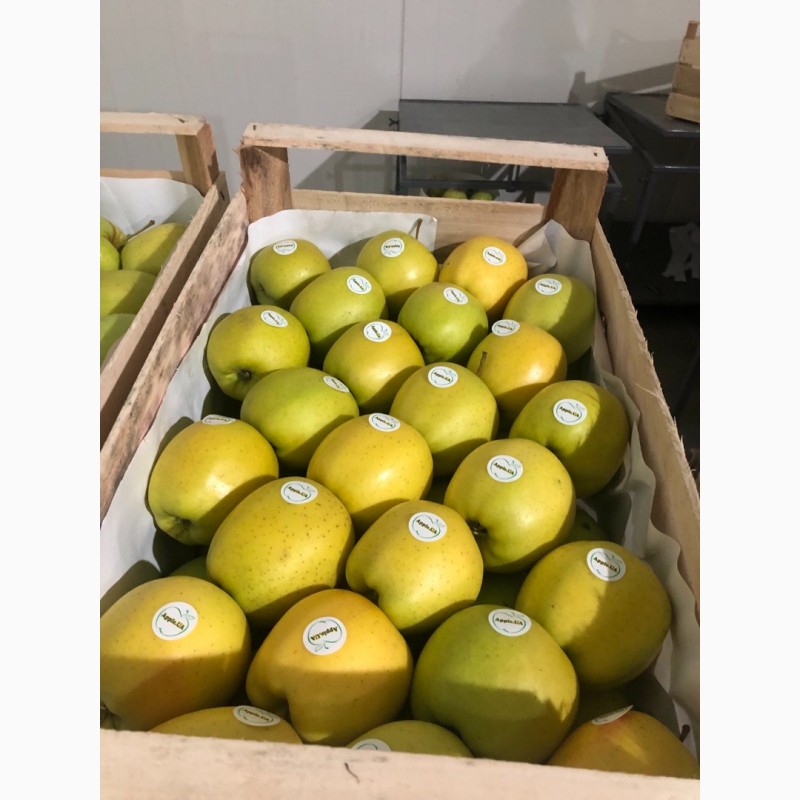 Фото 5. Продам яблука, експортної якості, є обєм, розміри 65-75, 75+, Вінницька обл.м.Немирів
