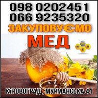Закупка меда подсолнечного в центральной Украине ОПТ-МЕД
