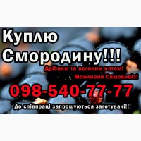 Купую Смородину, дрібним та великим оптом! Самовивіз