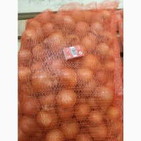 ОПТ Цибуля та інші овочі Експорт великі об#039; єми