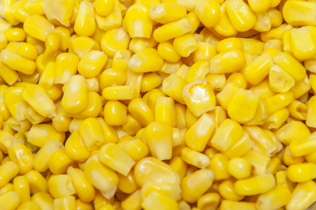 Фото 3. Куплю кукурузу.По всем областям Украины