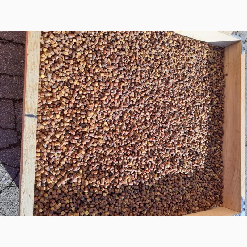 Фото 3. Продам натуральну бджолину пергу зібрану зі своєі пасіки