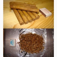 Семена табака. Донецк