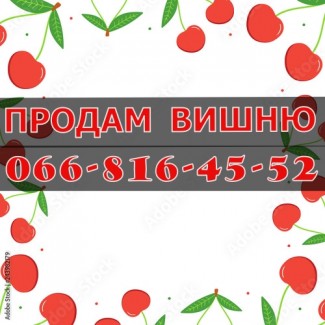 Підприємство реалізує за договірною ціною вишню