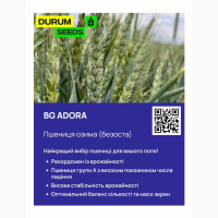 Насіння пшениці 2024 (Оригінатор - Biogranum, Сербія), Durum Seeds