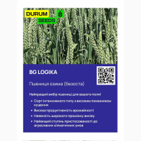 Насіння пшениці 2024 (Оригінатор - Biogranum, Сербія), Durum Seeds