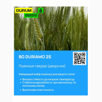 Насіння пшениці 2024 (Оригінатор - Biogranum, Сербія), Durum Seeds