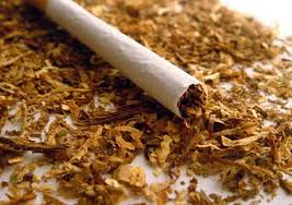 Фото 5. Табак нарезка лапша(0.5-0.8) Берли Вирджиния!табак ферментированный-гильзы машинки трубки